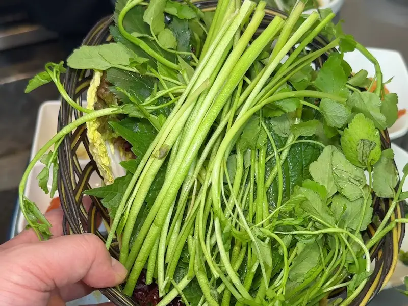 다채로운 쌈 채소