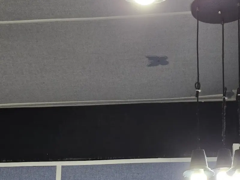 홍어천장의 천장 조명