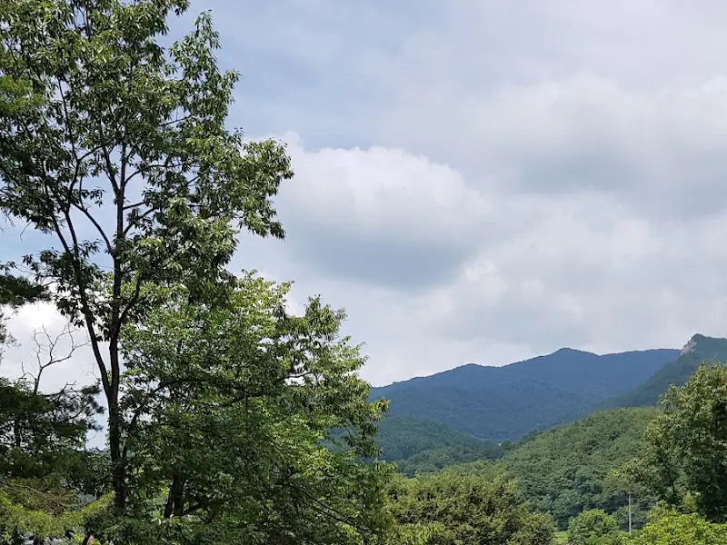 식당 주변 풍경