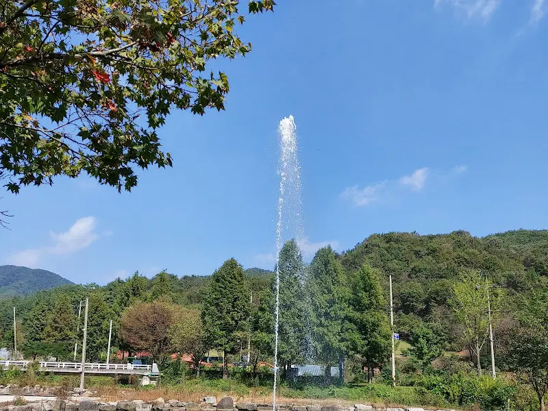 모래재 메타세콰이어길 분수