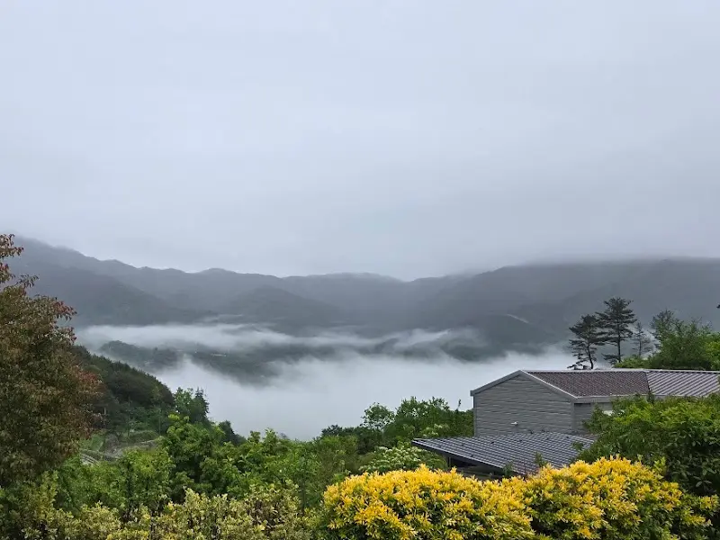 고매감 주변 풍경