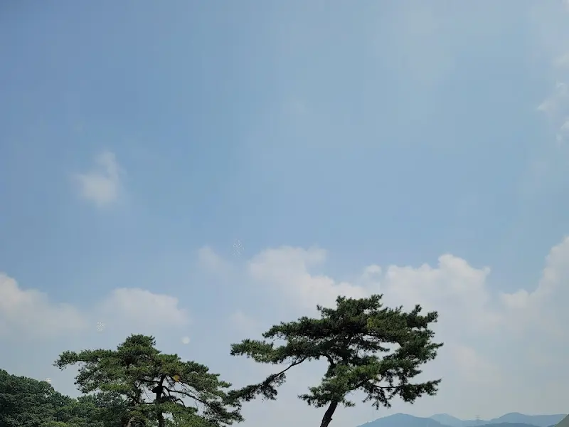 푸른 하늘과 나무가 어우러진 풍경