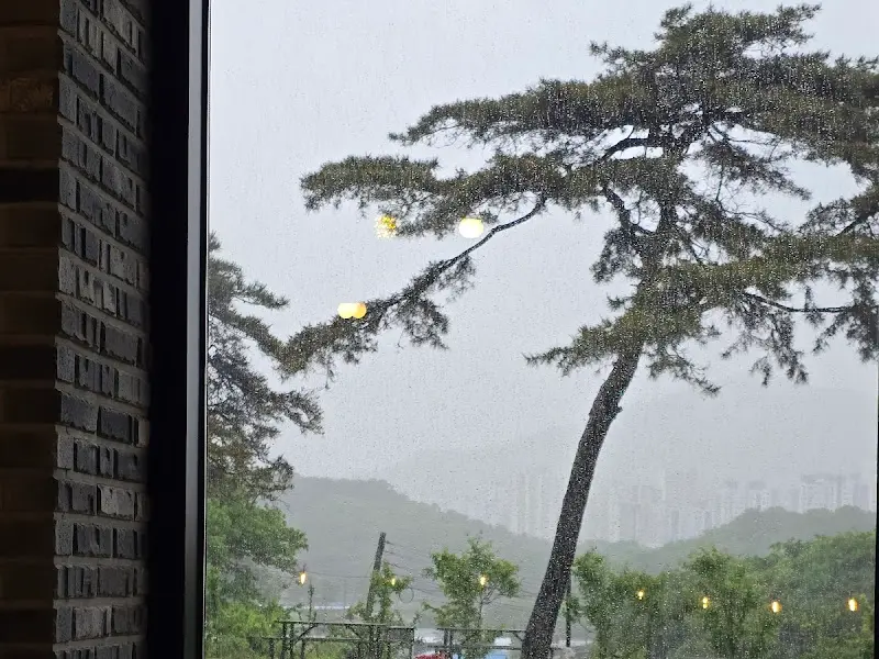 창밖으로 보이는 정원 뷰