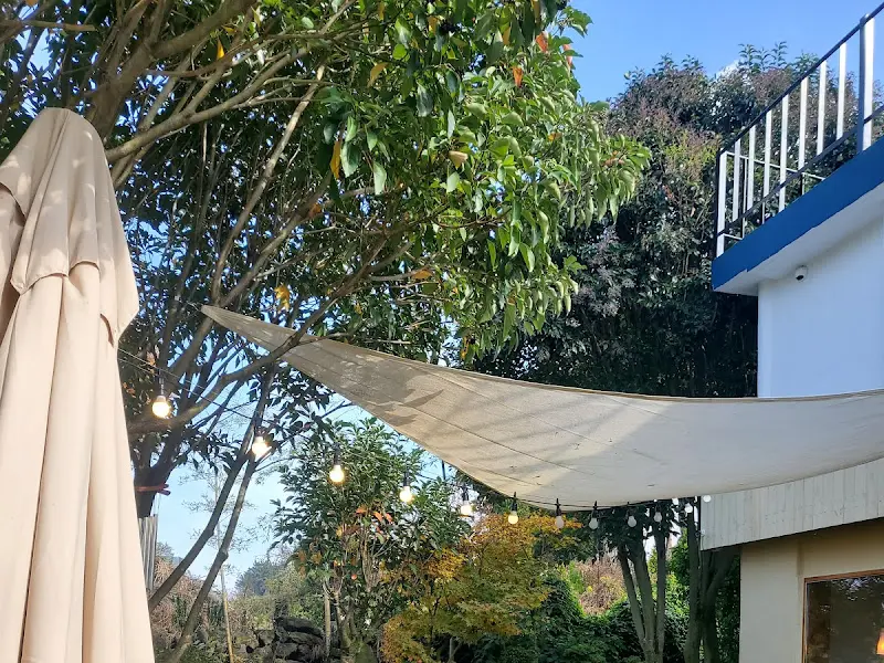 멜트 야외 테이블에서 보이는 푸른 숲 전경