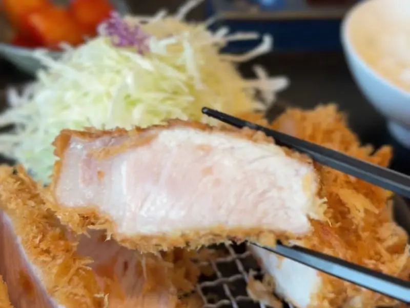 젓가락으로 집은 히레카츠