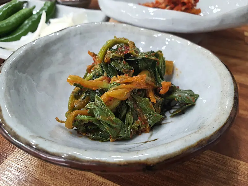 싱그러운 나물의 모습