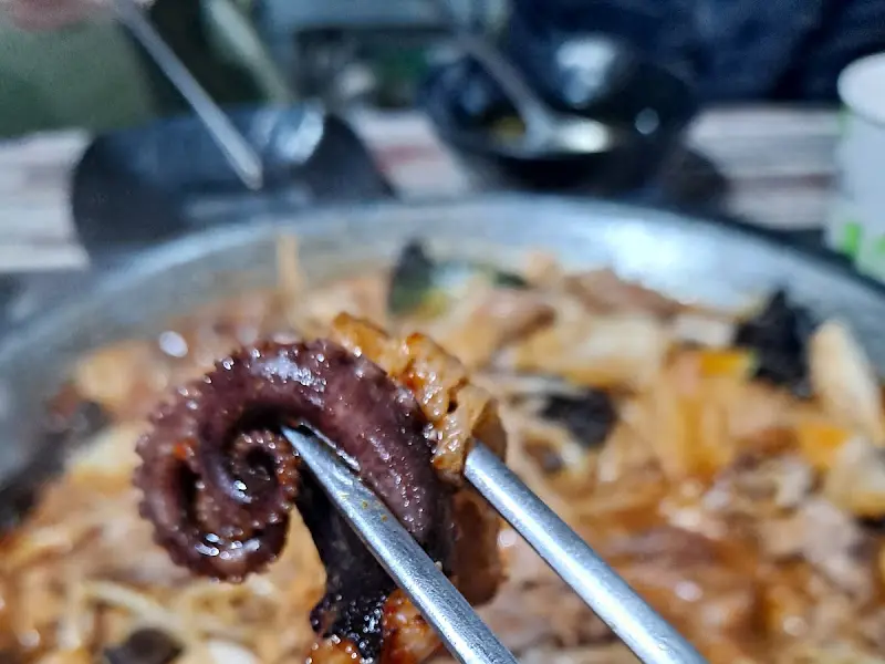 젓가락으로 집어 올린 쭈꾸미