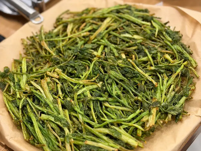 미나리전 비주얼