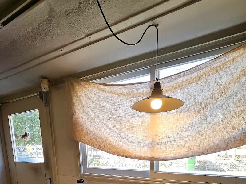 모루식당 내부 조명