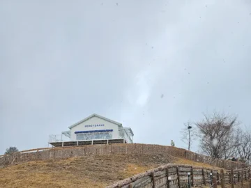 눈꽃 속 몽토랑, 태백의 숨겨진 뷰 맛집과 산양의 조우: 잊지 못할 강원도 추억 여행