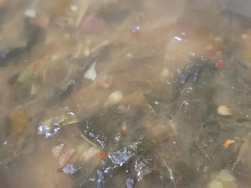 구수하고 따뜻한 시래기된장국