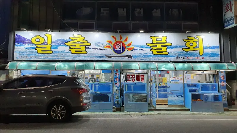 일출회물회 야경