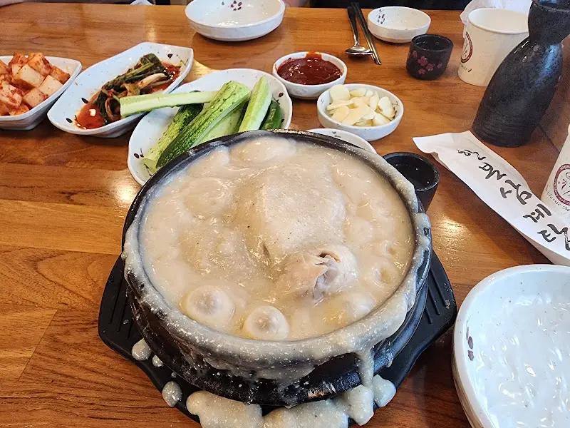 뚝배기에 담겨 보글보글 끓고 있는 삼계탕