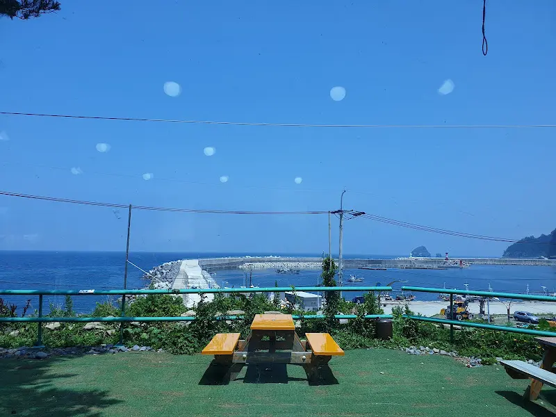 롯띠 BUN 야외 테이블에서 바라본 현포항 풍경
