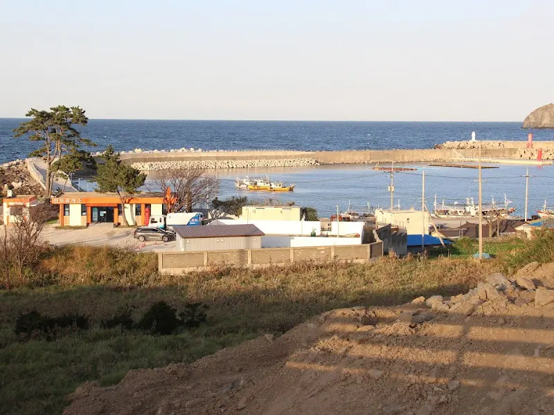 롯띠 BUN 근처 현포항 전경