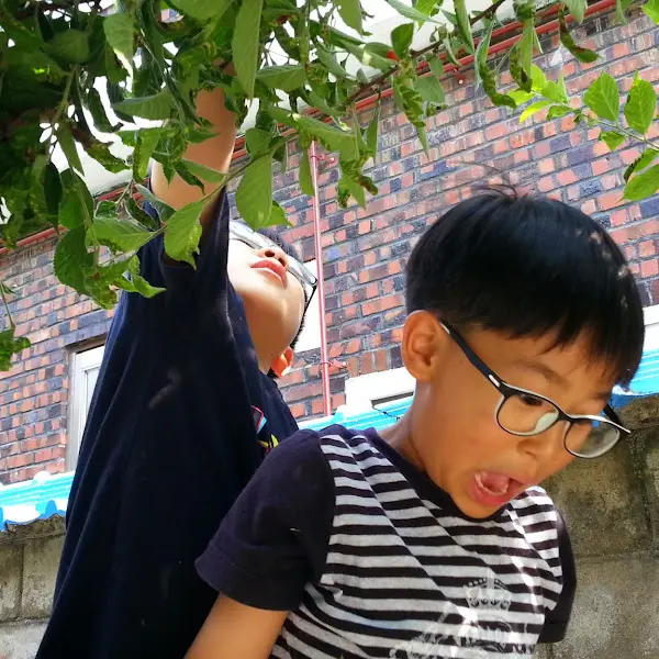 아이들이 나뭇잎을 만지는 모습