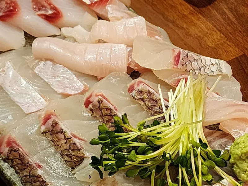 숙성회 클로즈업