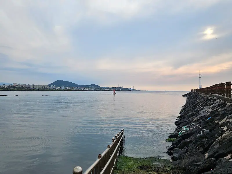 탁 트인 바다와 하늘, 잔잔하게 일렁이는 파도가 평화로운 분위기를 자아내는 조천포구 전경