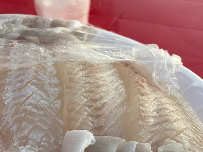 싱싱한 황돔 회의 클로즈업 샷. 윤기가 흐르고 쫄깃한 식감이 느껴지는 듯하다.