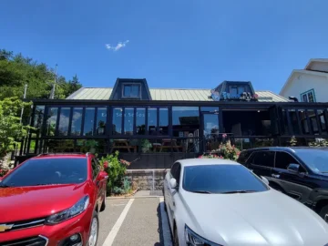 동해의 숨은 보석, 양양에서 만나는 인생 맛집: 동쪽바다세꼬시