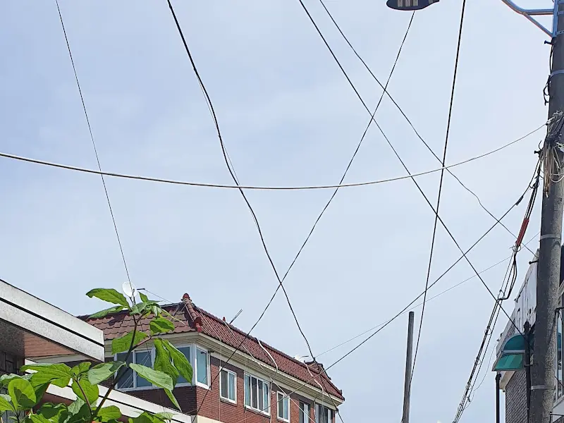 전깃줄이 복잡하게 얽힌 골목 풍경