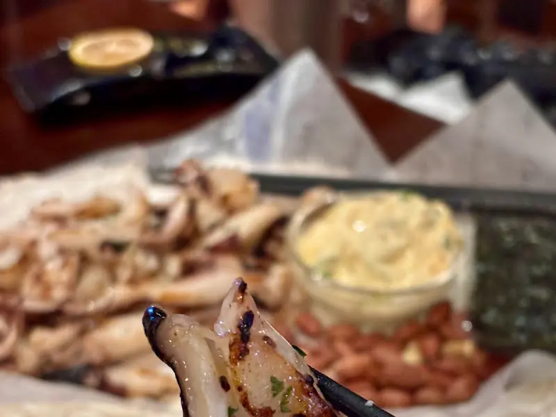 구운 오징어 근접샷