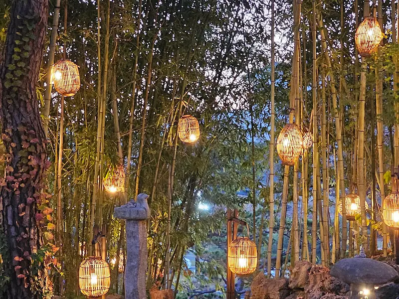 대나무 숲 조명