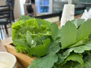싱싱한 쌈 채소의 향연, 봉동에서 찾은 숨은 우렁쌈밥 맛집의 과학