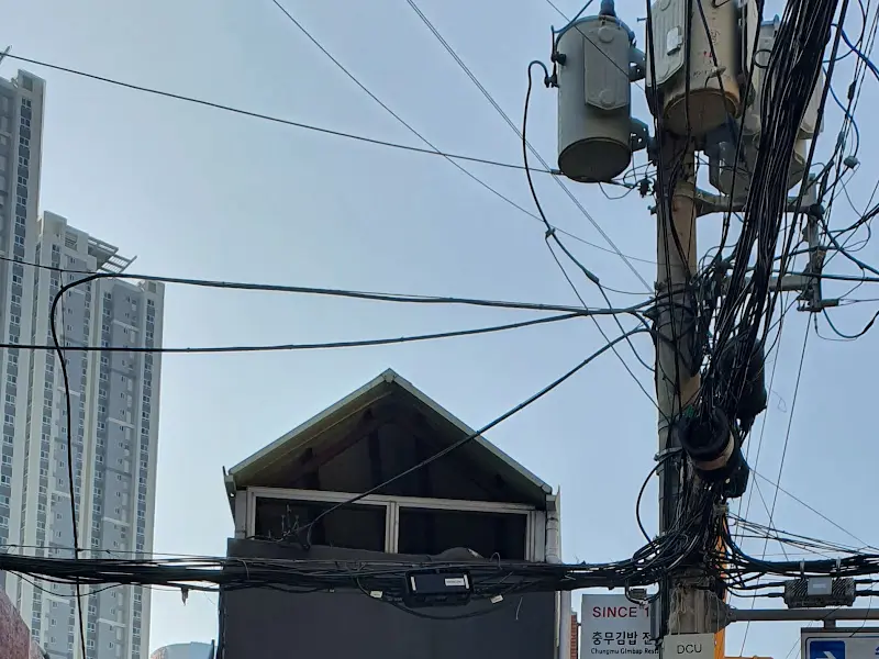 복잡한 전선 아래 자리한 원앙