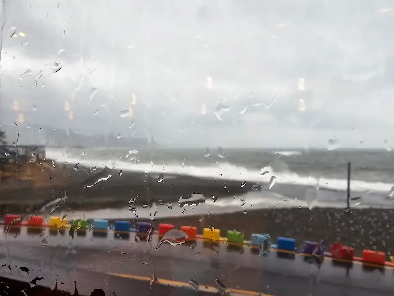 비오는 날의 파스쿠찌