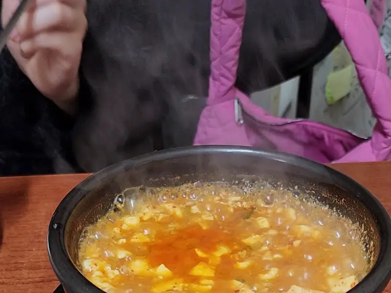 보글보글 끓는 순두부찌개