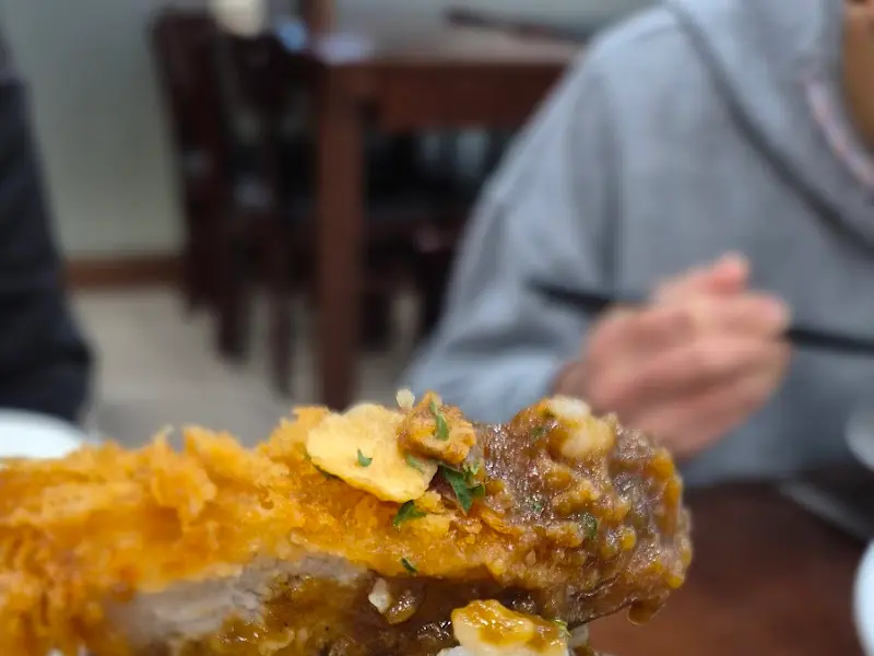 카레 돈까스 덮밥 클로즈업