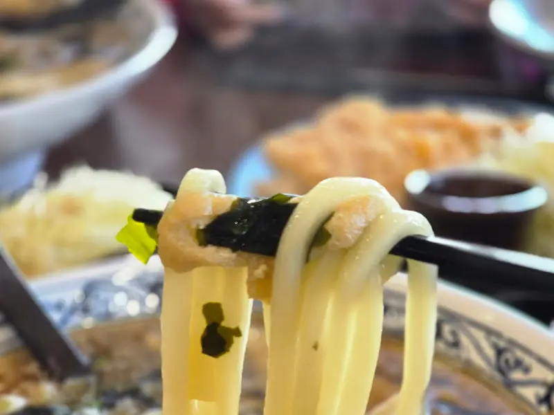 우동 면발 클로즈업