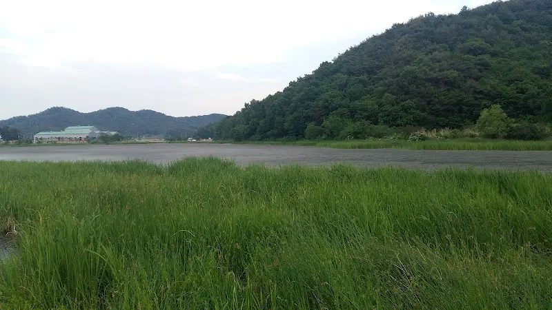 함안 대송리 늪지식물원의 푸르른 풍경