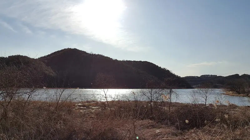 햇빛이 반사되어 반짝이는 늪지의 물결