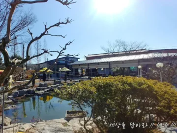 담양의 숨겨진 별, 은하정에서 맛보는 추억 한 그릇 – 장성 맛집 기행