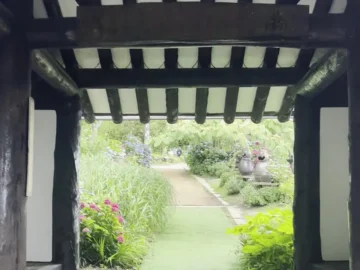 울릉도의 숨겨진 보석, 예림원에서 자연과 예술에 취하는 힐링 맛집