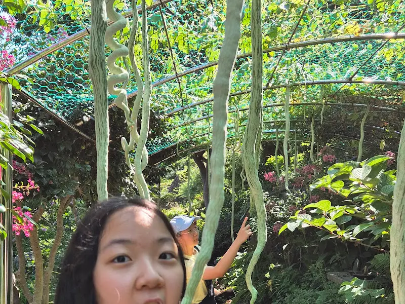 예림원 덩굴 터널