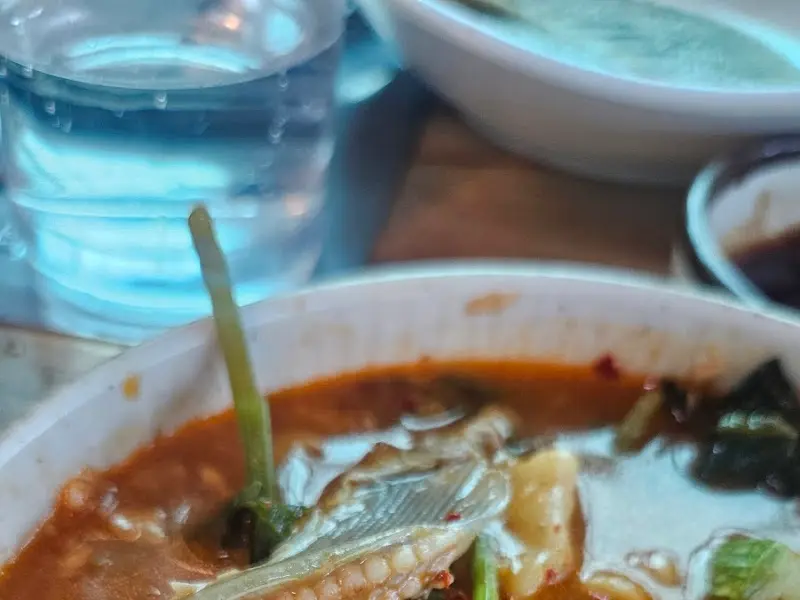 철갑상어 매운탕