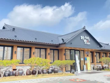 남도 손맛이 살아 숨 쉬는 곳, 강진 다강한정식에서 맛보는 푸짐한 고향의 맛