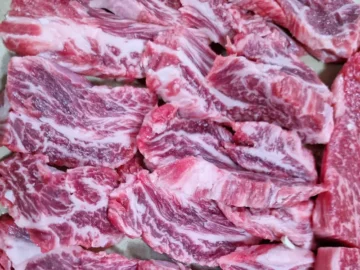 깊어가는 풍미, 추억이 깃든 강릉 노포, 금산한우에서 맛보는 인생 맛집 이야기