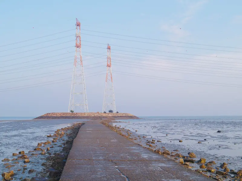 해변으로 이어진 길