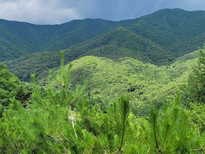 식당에서 바라본 풍경