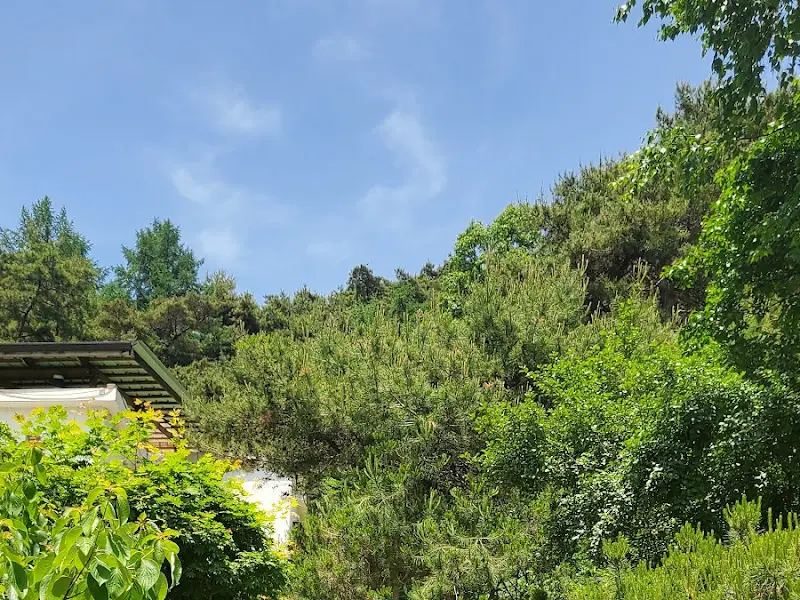 카페 주변 풍경