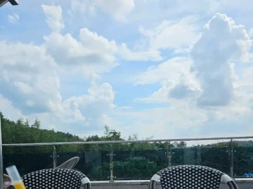 함평 속 숨겨진 정원, ‘송세희 Atelier Cafe’에서 만끽하는 힐링 맛집 여정