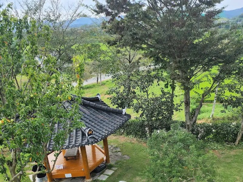 정자에서 바라본 풍경