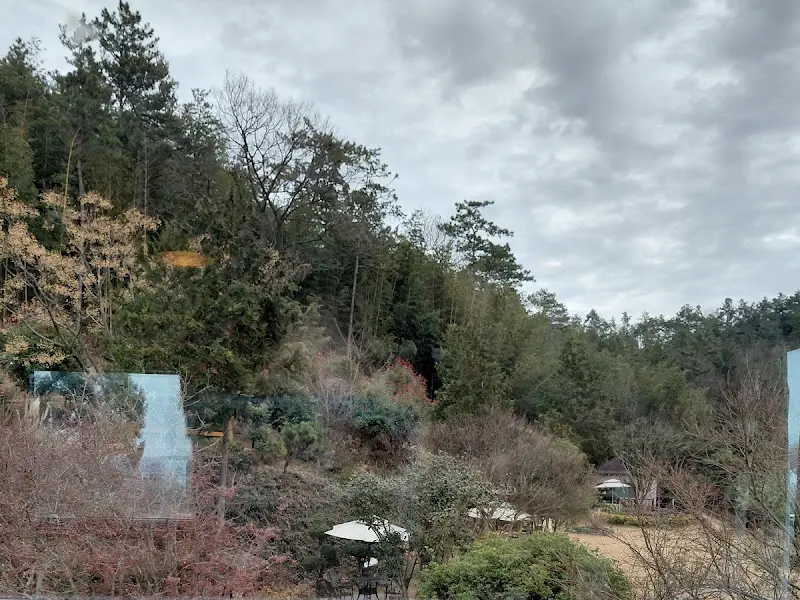 창문 너머로 보이는 풍경