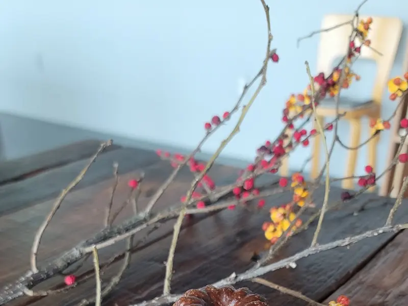 테이블 위 장식된 꽃가지