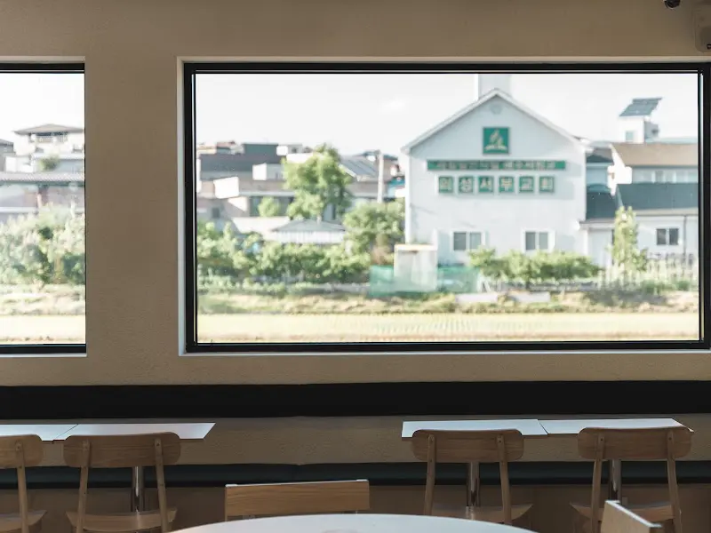 창밖으로 보이는 논밭