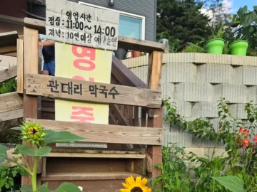 소양강 품은 풍경과 과학적 감칠맛, 인제 관대리 막국수 맛집 탐방기